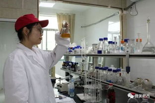 肥西縣高新技術企業認定實現新突破 科技中介服務助力產業升級